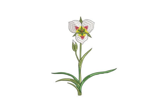A Review of Sego Lily Bloom Embroidery for Professional Projects