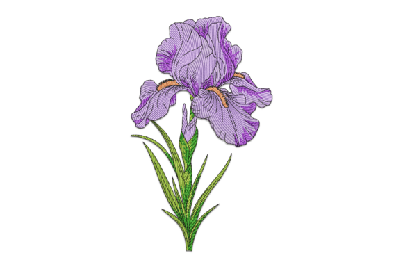 Charming Purple Iris Embroidery Design
