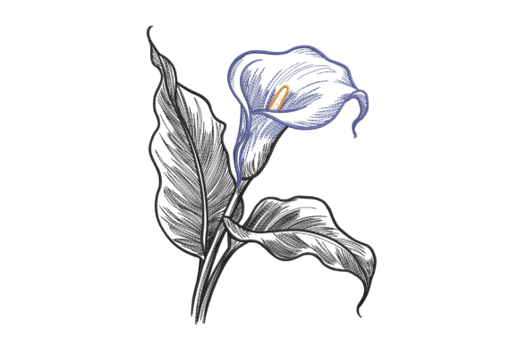 Elegant Calla Lily Sketch for Business Embroidery